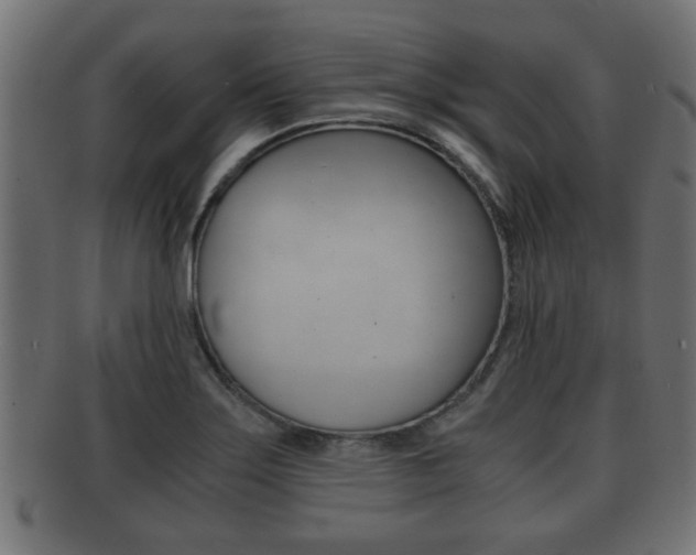 X0000092311275200709141023