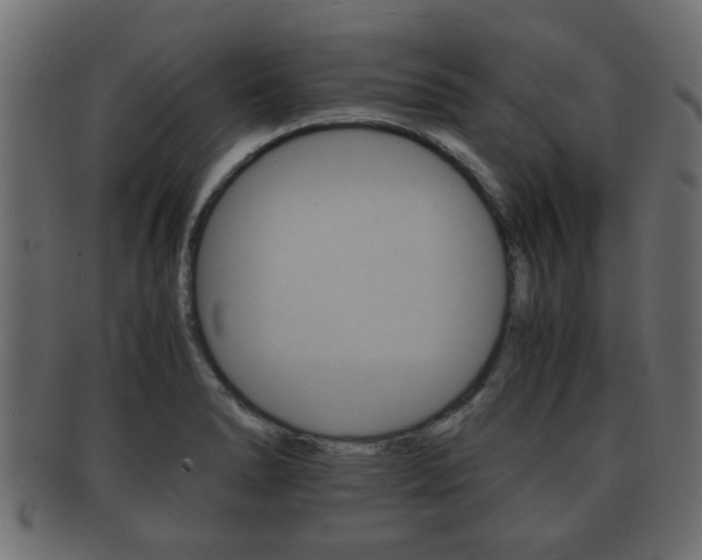 X0000092311278200709141023