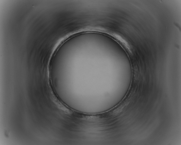 X0000092311280200709141023