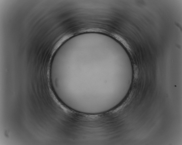 X0000092311282200709141023