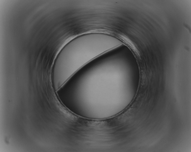 X0000092311284200709141023