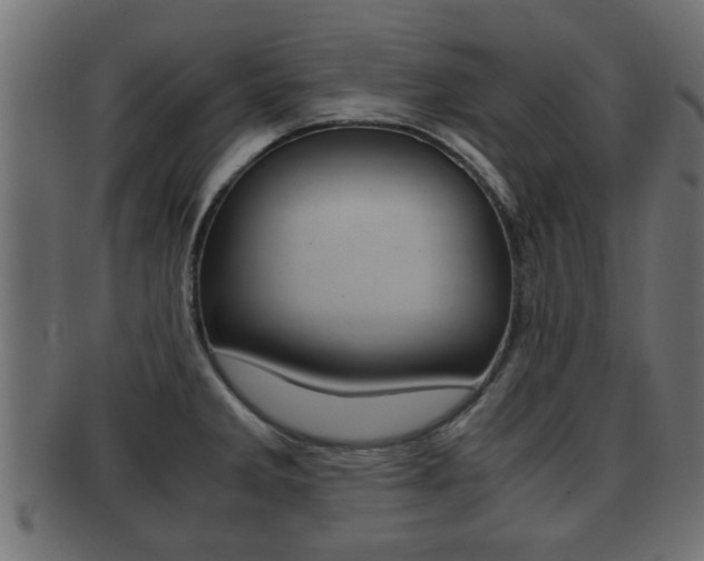 X0000092311285200709141023