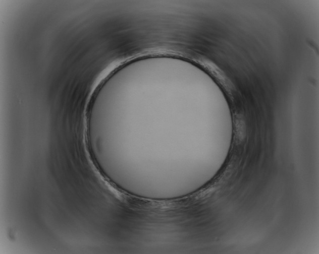 X0000092311286200709141023