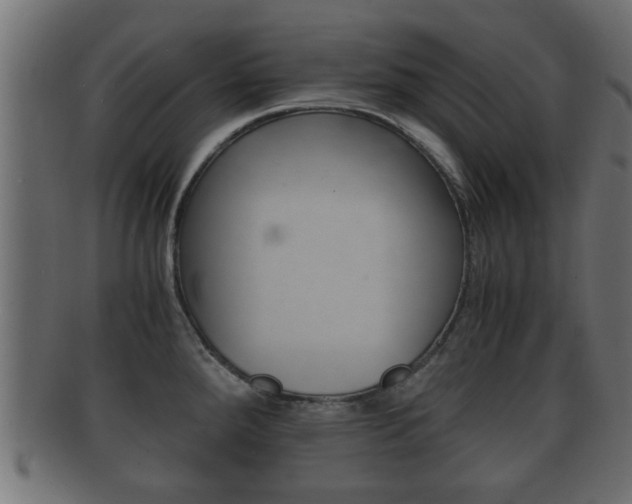 X0000092311288200709141023