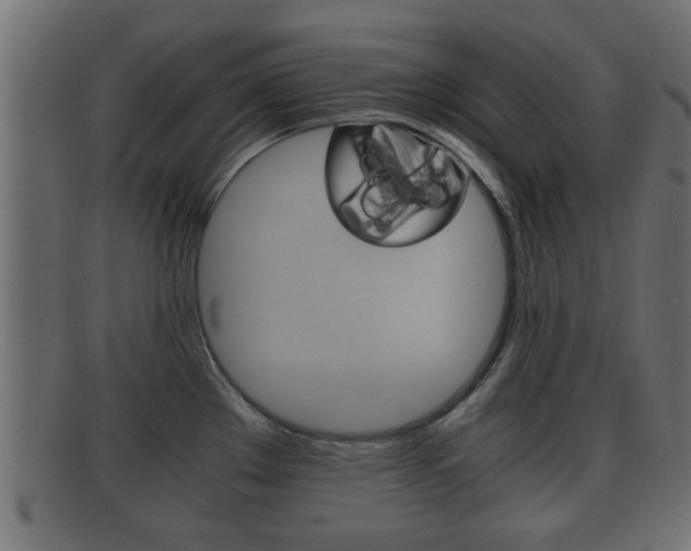 X0000092311289200709141023