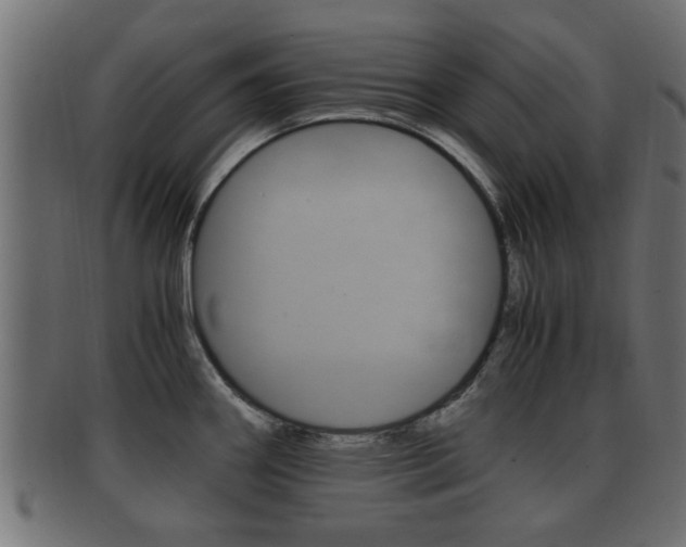 X0000092311290200709141023