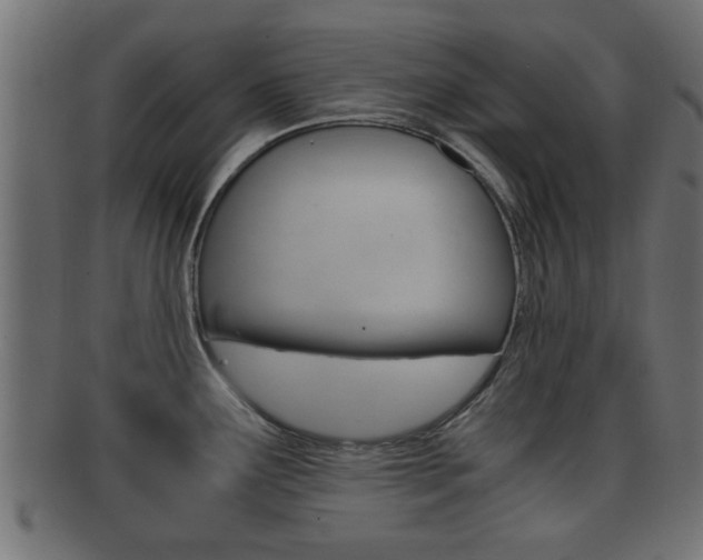 X0000092311291200709141023