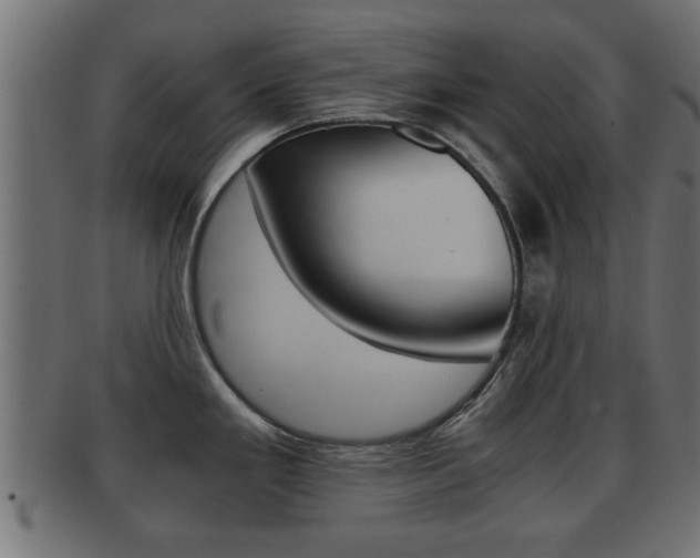 X0000092311293200709141023