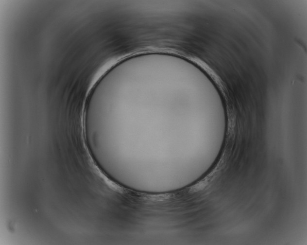 X0000092311294200709141023
