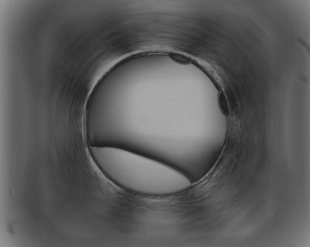 X0000092311295200709141023