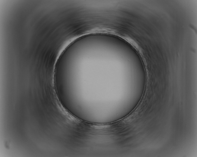 X0000092311296200709141023