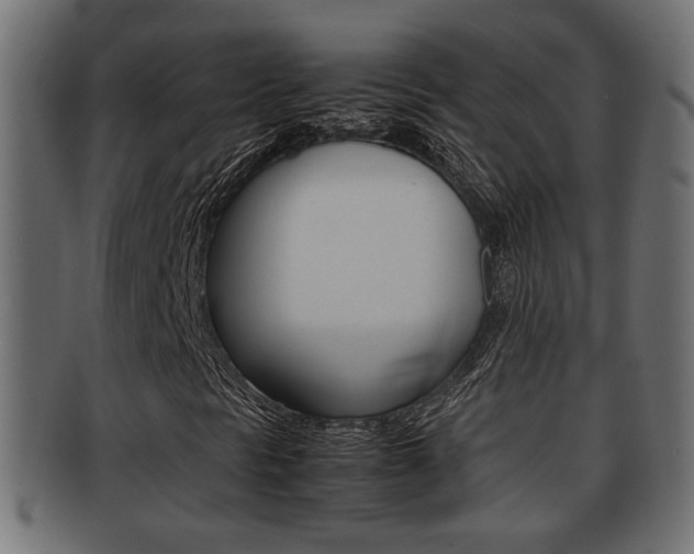 X0000092311297200709141022