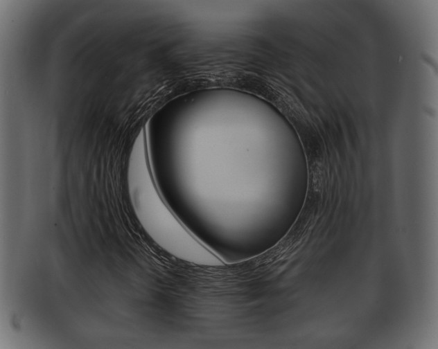 X0000092311298200709141022