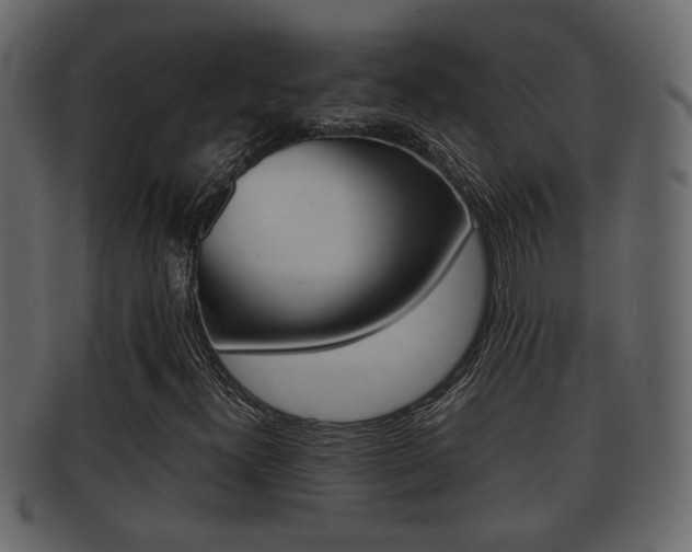 X0000092311300200709141022