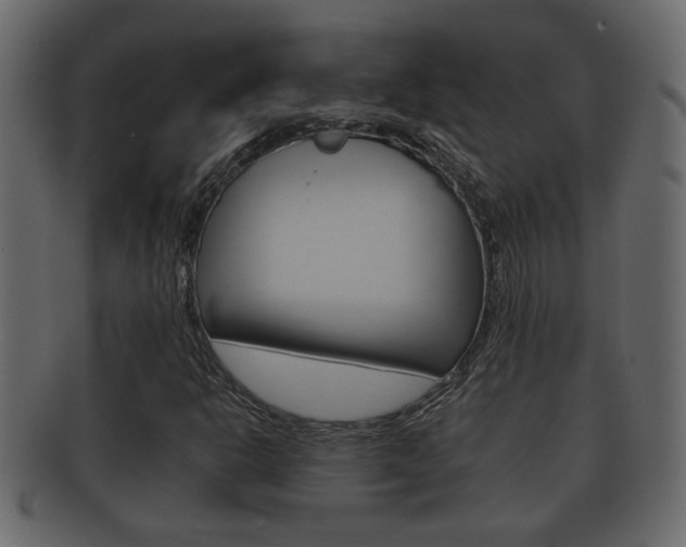 X0000092311302200709141022