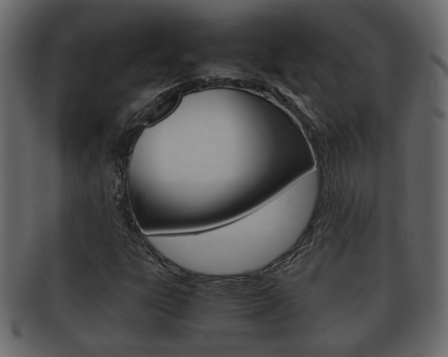 X0000092311303200709141022