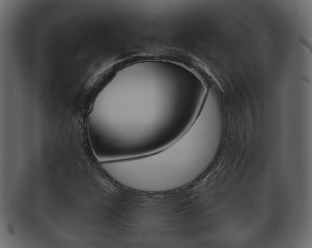 X0000092311304200709141022