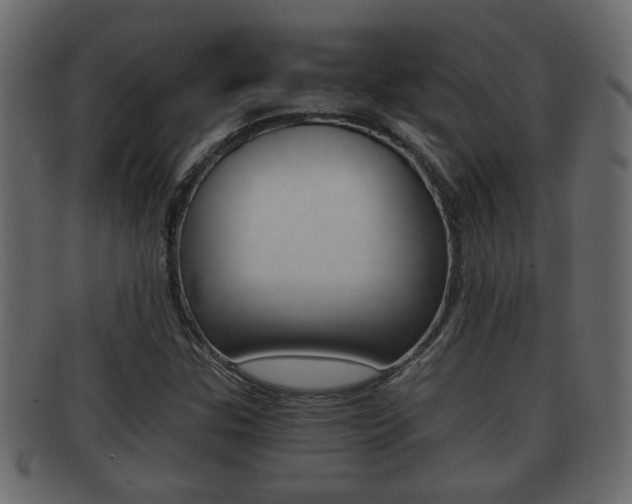 X0000092311307200709141022