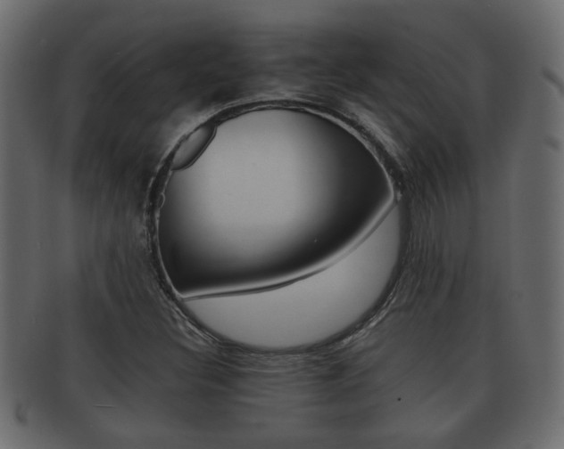 X0000092311308200709141022