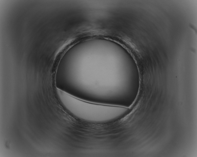 X0000092311309200709141022
