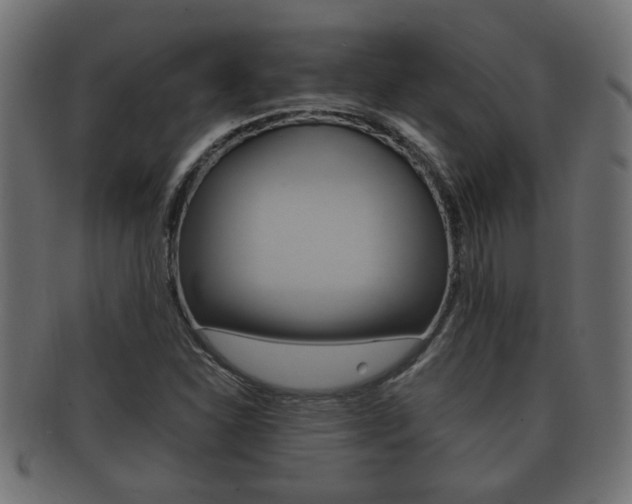 X0000092311310200709141022