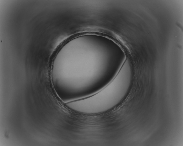 X0000092311312200709141022