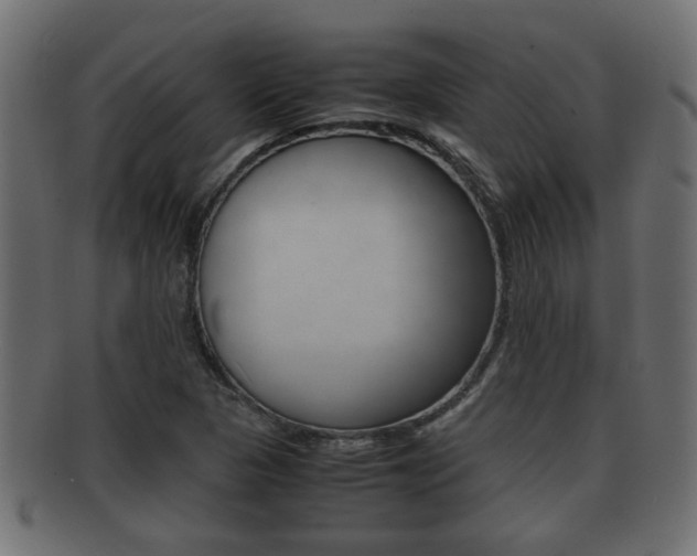 X0000092311313200709141022