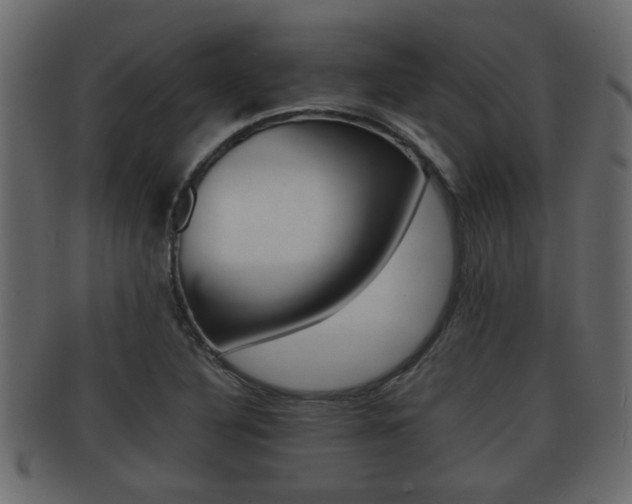 X0000092311316200709141023