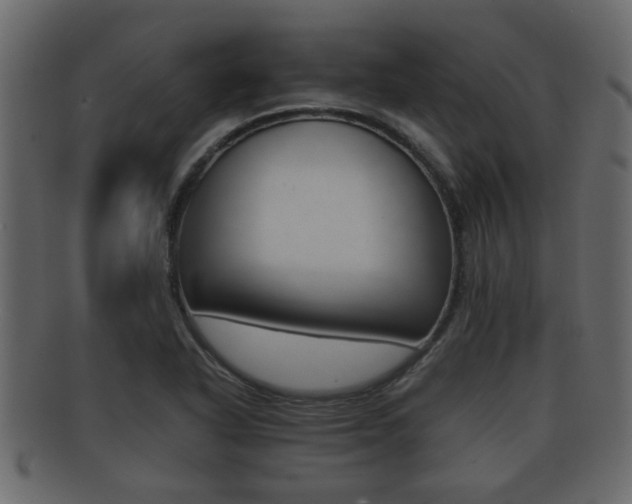 X0000092311318200709141023