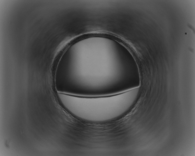 X0000092311319200709141023