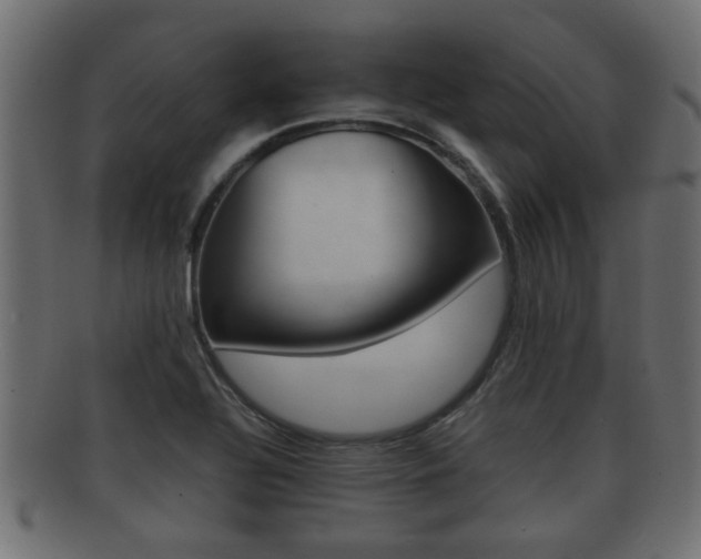 X0000092311320200709141023