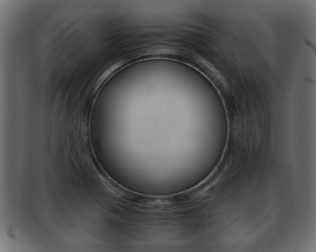 X0000092311321200709141023