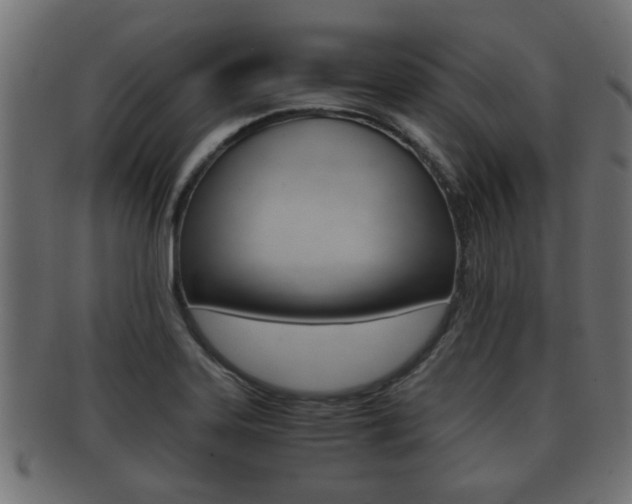 X0000092311323200709141023