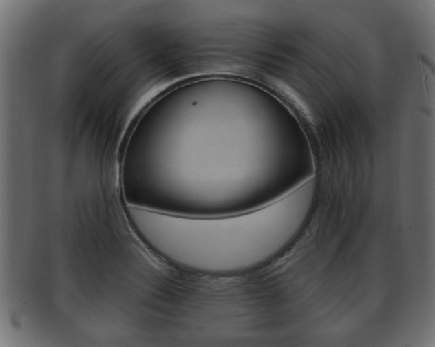 X0000092311324200709141023