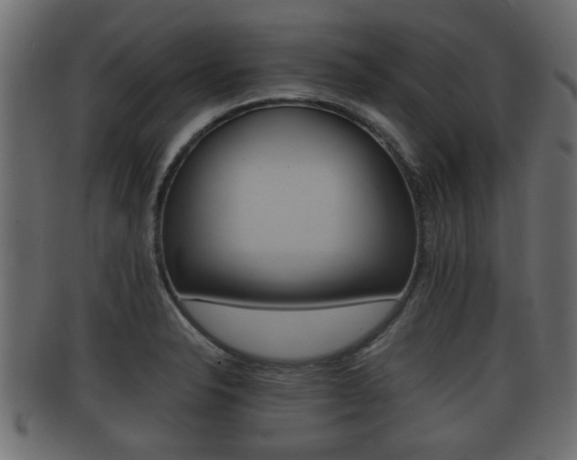 X0000092311326200709141023