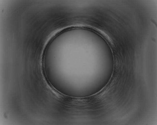 X0000092311327200709141023