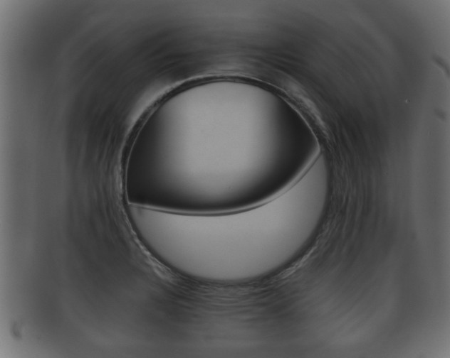 X0000092311328200709141023