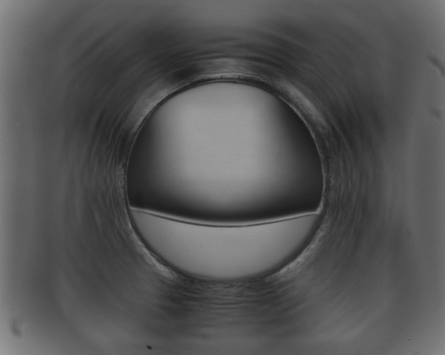 X0000092311329200709141023
