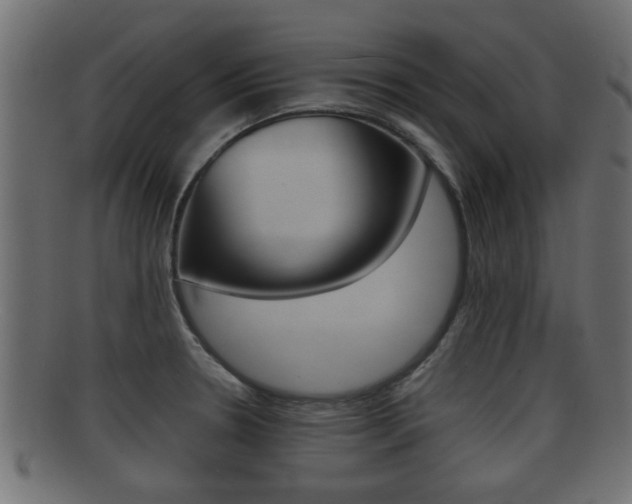X0000092311330200709141023