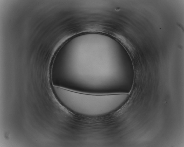 X0000092311331200709141023