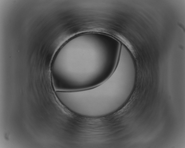 X0000092311332200709141023