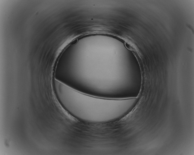 X0000092311333200709141023