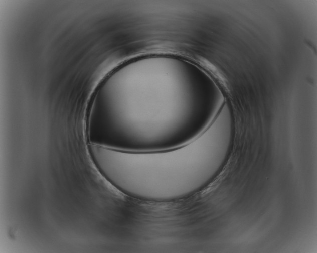 X0000092311334200709141023