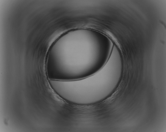 X0000092311336200709141023