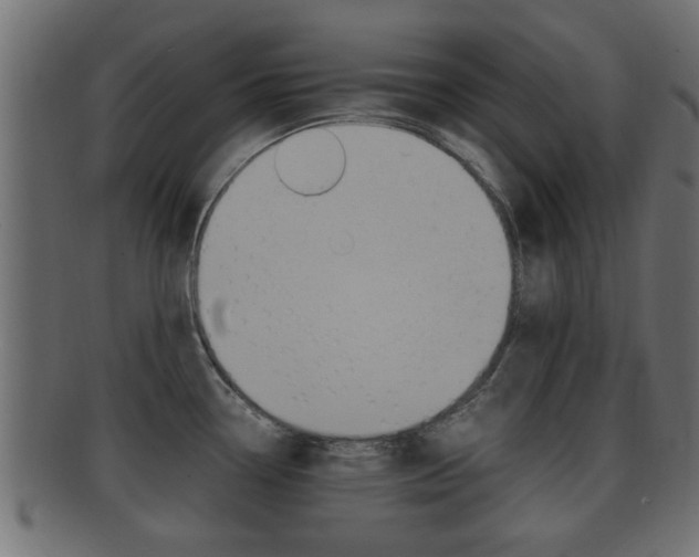 X0000092311338200709141023