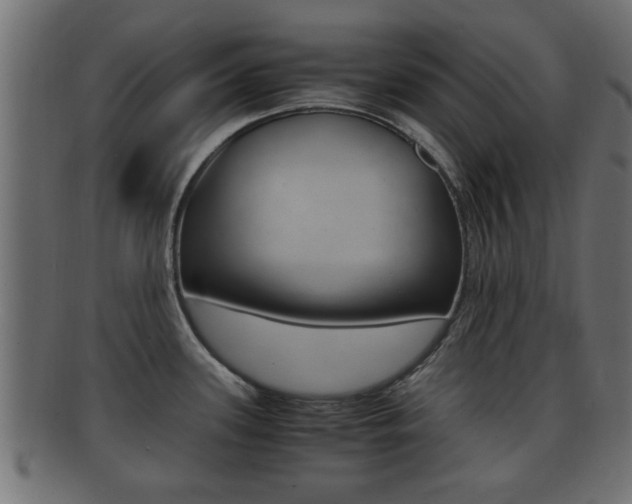 X0000092311339200709141023
