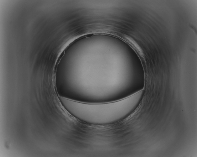 X0000092311340200709141023