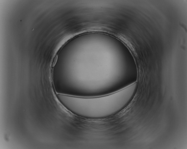 X0000092311342200709141023