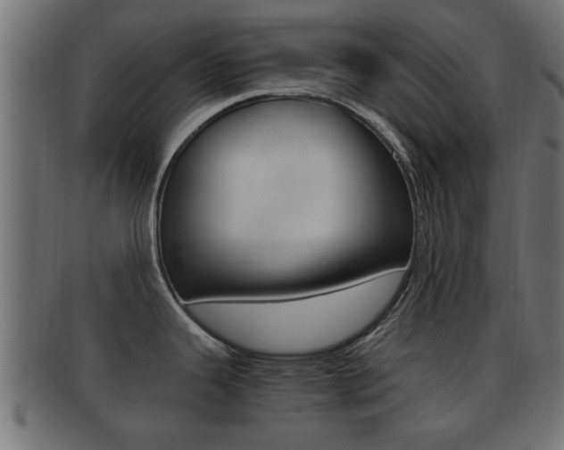 X0000092311343200709141023