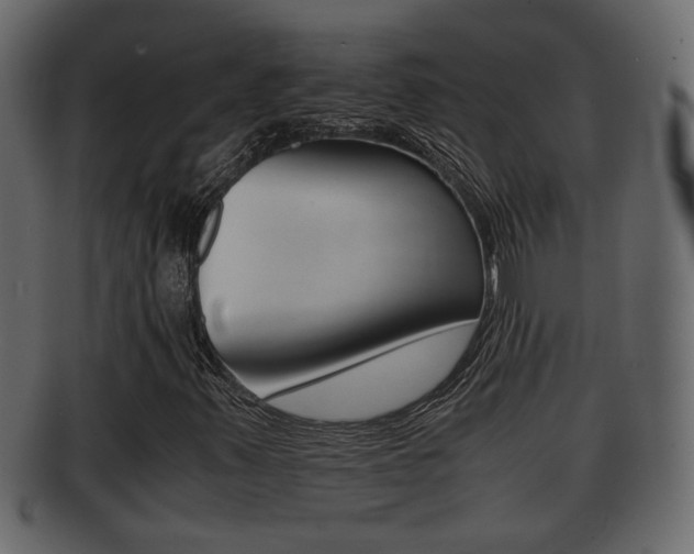 X0000092311347200709141022